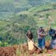 Article : Rwanda, l’origine des identités meurtrières