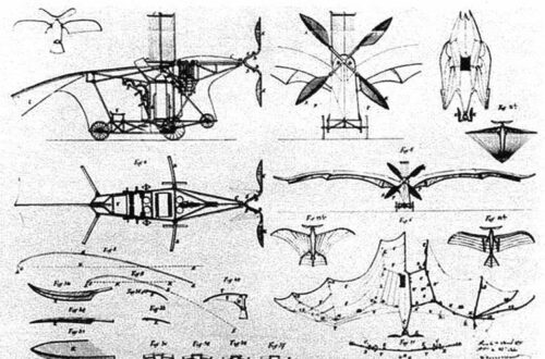 Article : Le premier avion de l’histoire a été inspiré par l’aile de la chauve-souris